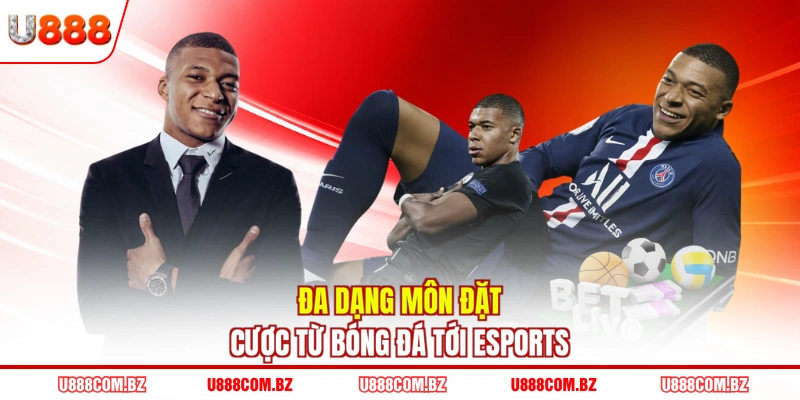 Đa dạng môn đặt cược từ bóng đá tới esports