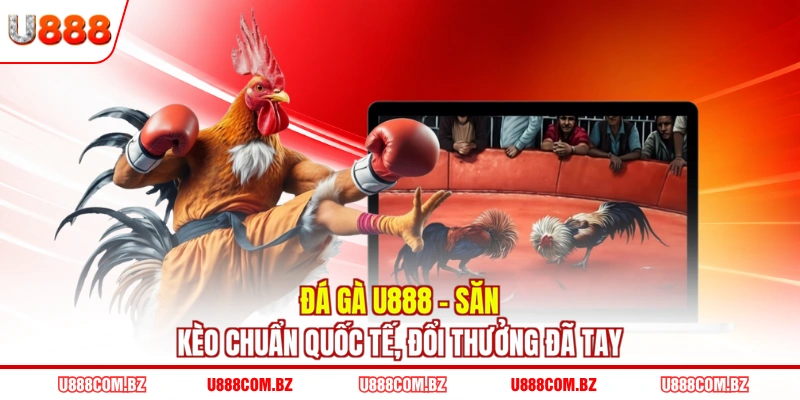 Đá Gà U888 - Săn Kèo Chuẩn Quốc Tế, Đổi Thưởng Đã Tay