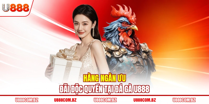 Hàng ngàn ưu đãi độc quyền tại đá gà U888